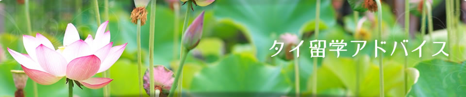 タイ留学アドバイス